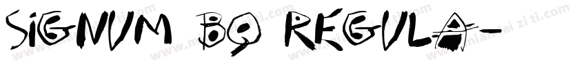 Signum BQ Regula字体转换